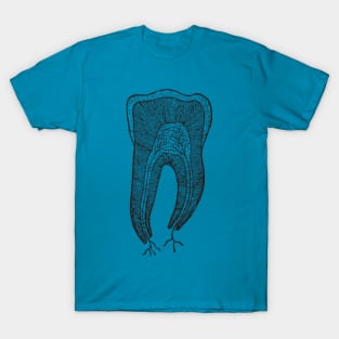 Tooth T-Shirt